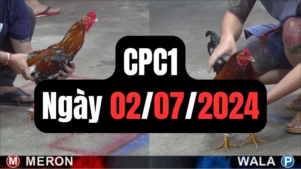 Xem đá gà CPC1 02-07-2024
