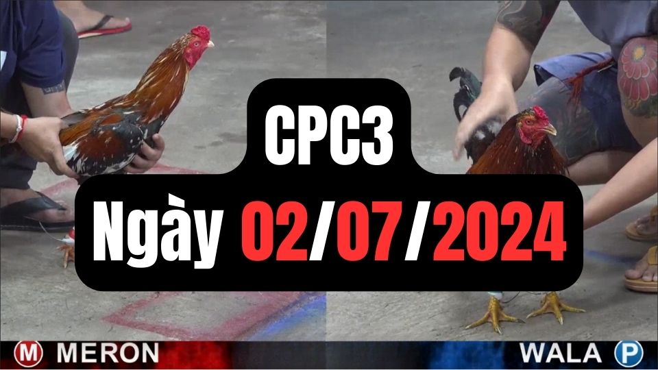 Xem đá gà CPC3 02-07-2024